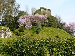 Archivo:Torre de Cira - Silleda
