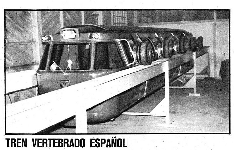 Tren vertebrado -Alejandro Goicoechea