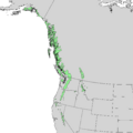 Tsuga mertensiana range map 1