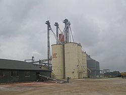 Tubbs Rice Grain, Pioneer, LA IMG 7344.JPG