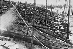 Archivo:Tunguska Ereignis-1