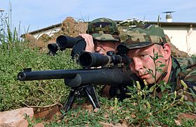 Archivo:USAF sniper (040719-F-7449W-001)