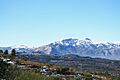 Vista cap al castell de Cocentaina i la serra de Mariola des de Benialfaquí