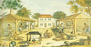 Archivo:1670 virginia tobacco slaves