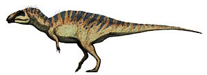 Archivo:Acrocanthosaurus restoration