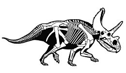 Archivo:Agujaceratops