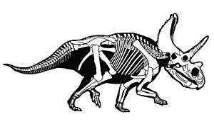Archivo:Agujaceratops