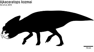 Archivo:Ajkaceratops holotipo