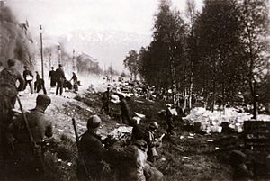 Allied soldiers during the battle of Narvik.jpg
