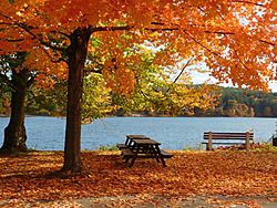 Autumn at Roseland Park, Woodstock Connecticut.jpg