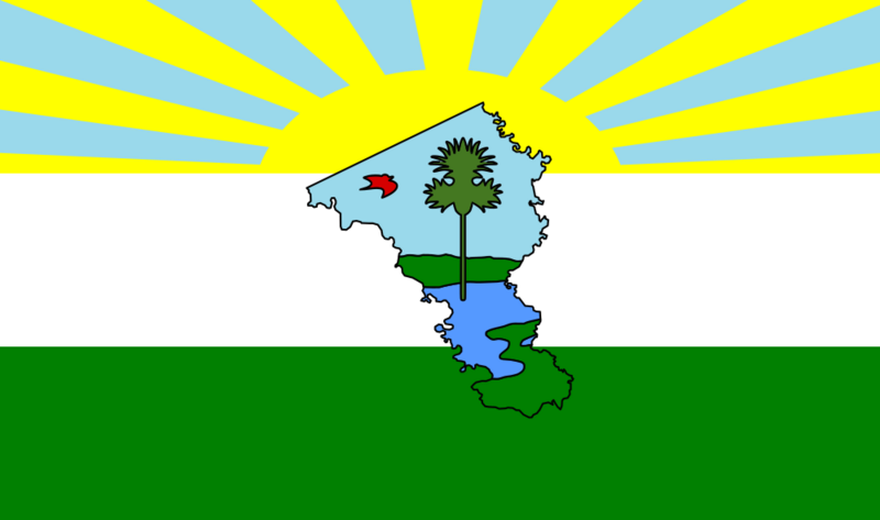 Bandera de Camaguán (Guárico)