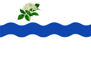 Archivo:Bandera de Fuentesaúco de Fuentidueña