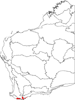 Distribución de B. verticillata en Australia Occidental.