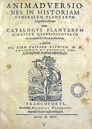 Archivo:Bauhin, Gaspard – Animadversiones in historiam generalem plantarum, 1601 – BEIC 11856754
