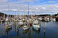 Boat Marina Whangarei. NZ (20440419042)