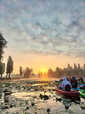 Archivo:CAYAK AMANECER EN XOCHIMILCO