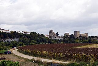 Castillo Arazuri.JPG