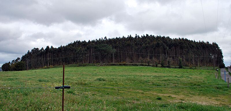 Castro de Montesclaros A Laracha