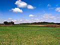 CumulusField-01