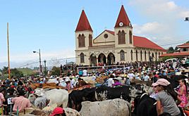 Archivo:Día del boyero 2013. Escazú. Costa Rica (0)