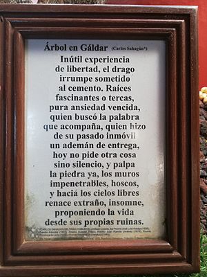 Archivo:Drago de Gáldar Poema
