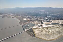East Palo Alto aerial view with Dumbarton Bridge.jpg