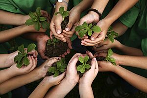 Archivo:Educacion ambiental niños