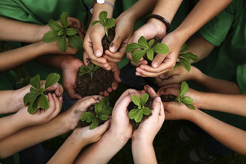 Educacion ambiental niños