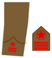 Ejerpopulardivi14