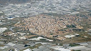 Archivo:El Ejido (Almería)