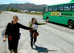 Archivo:Elsa amylin kiwi experience-2006-11-28