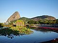 Flores do Aterro do Flamengo