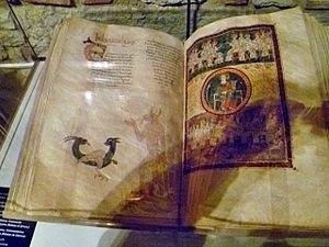 Archivo:Girona 073