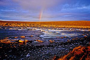 Archivo:Head of the Back River's Escape Rapids in August 2006