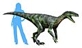 Herrerasaurus NT small