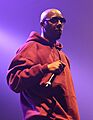 Inspectah Deck in Paris, 2013 (cropped)