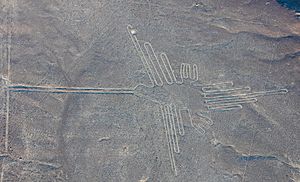 Líneas de Nazca, Nazca, Perú, 2015-07-29, DD 52.JPG