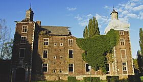 Le château de Farciennes.jpg