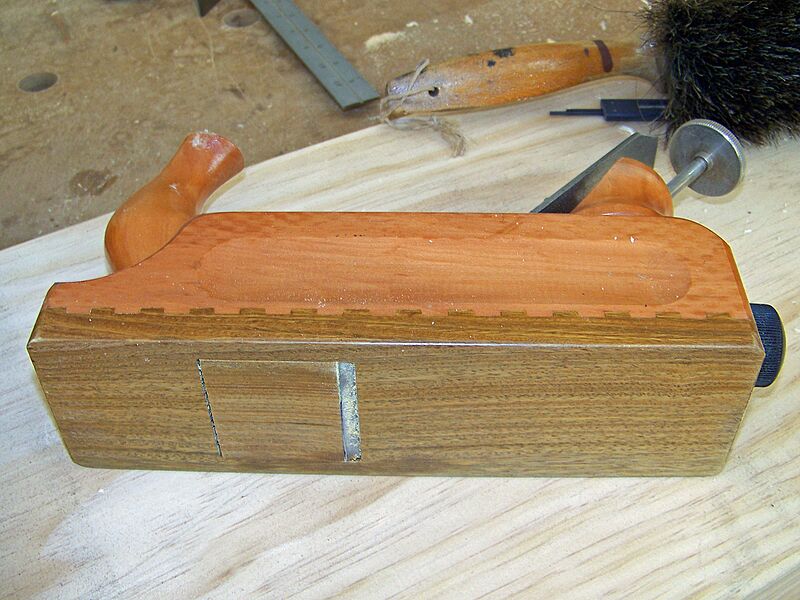 LignumVitaePlane