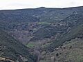 Llagarinu