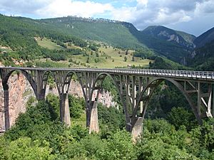 Archivo:Montenegro Tara bridge