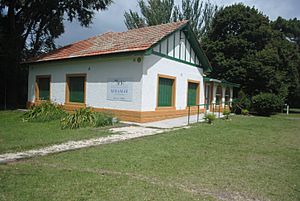 Archivo:Nueva sede Museo Municipal Punta Hermengo