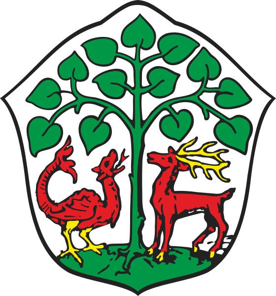 POL Braniewo COA old
