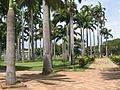 Parque Grancolombiano - Cúcuta