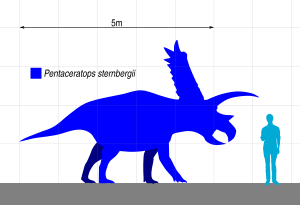 Archivo:Pentaceratops Size