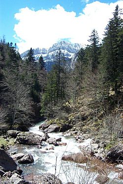 Archivo:Pirineo Selva de Oza 1