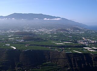Plantation banana La Palma.jpg
