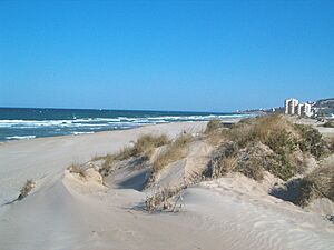 Archivo:Playa Dosel 2