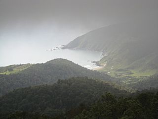 Playa de Pilolcura.jpg
