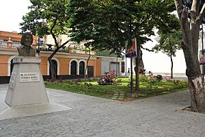 Archivo:PlazaAliPrimera